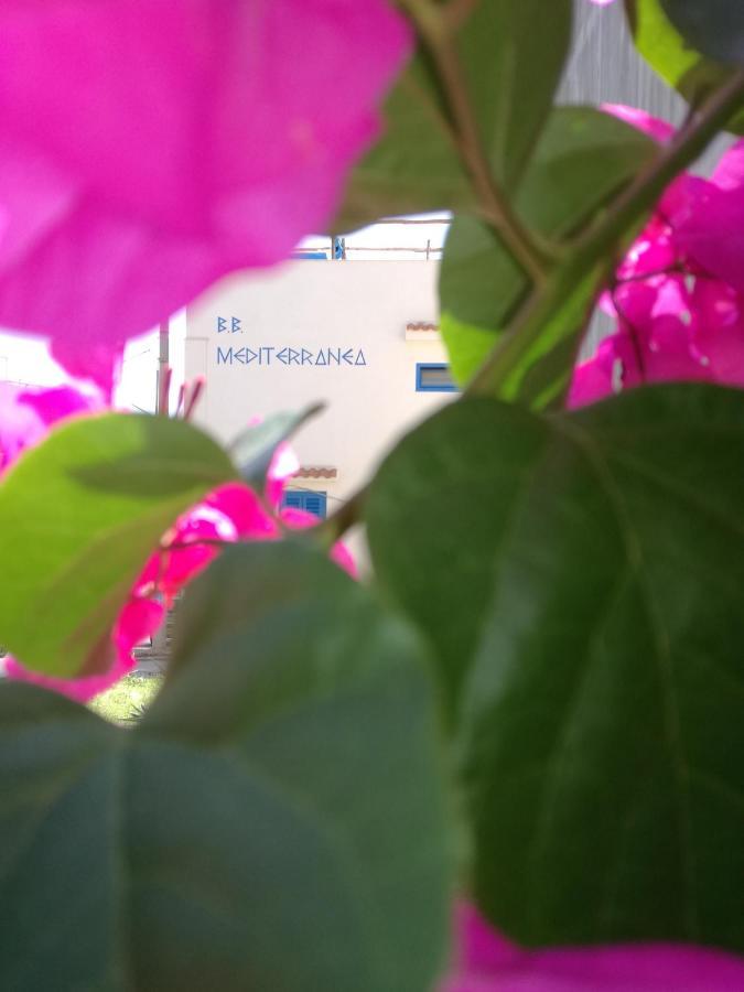 Portopalo Di Capo Passero Mediterranea Guesthouse B&B المظهر الخارجي الصورة